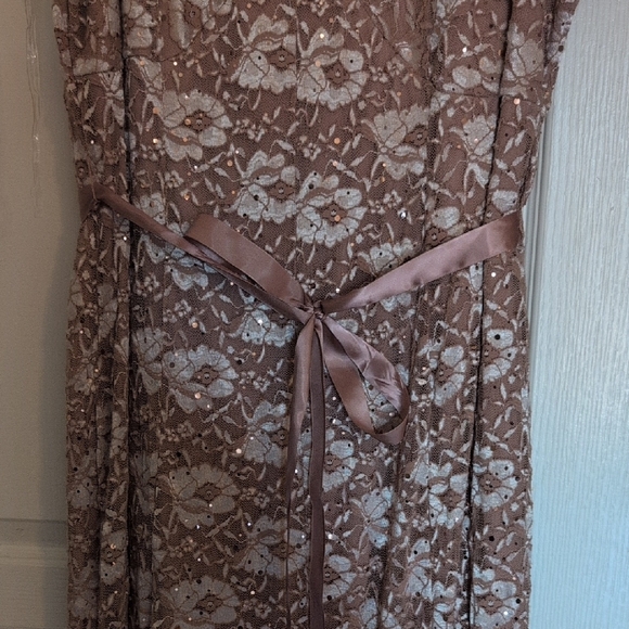 Chic Floral Lace Maxi Dress in Blush NWOT - Picture 3 of 9
